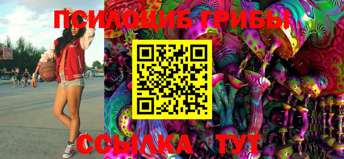 Галлюциногенные грибы Cubensis  как найти наркотики  Шахты 