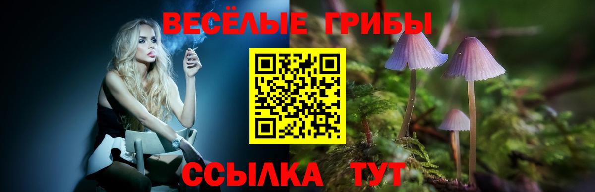 Галлюциногенные грибы Cubensis Шахты